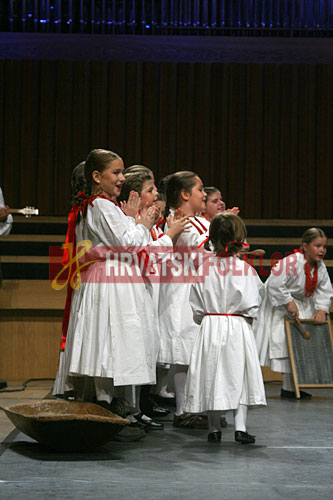 lisinskizeljeznicar (2)